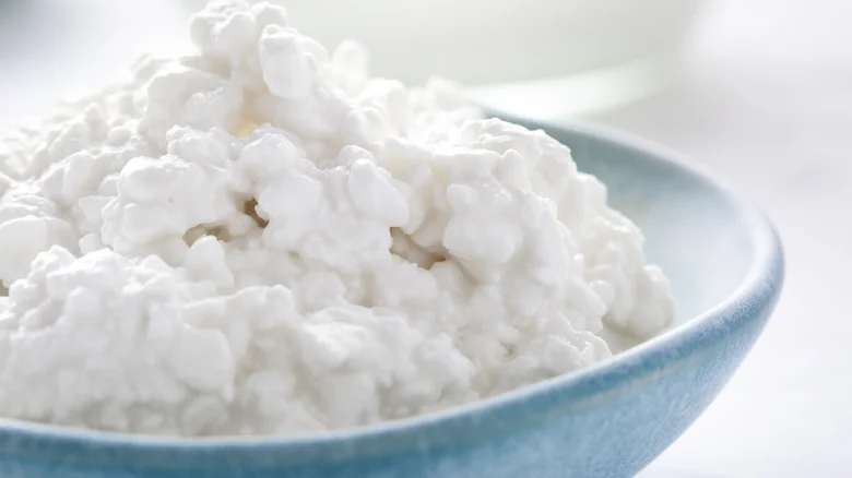 9 Reasons Cottage Cheese Is Everywhere In 2026